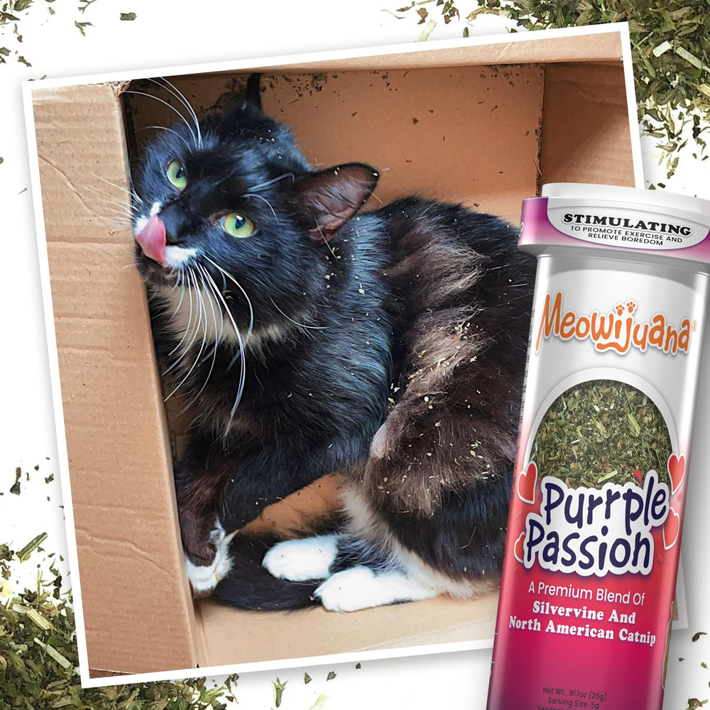 Meowijuana Purrple Passion gift packaging showcases premium catnip
