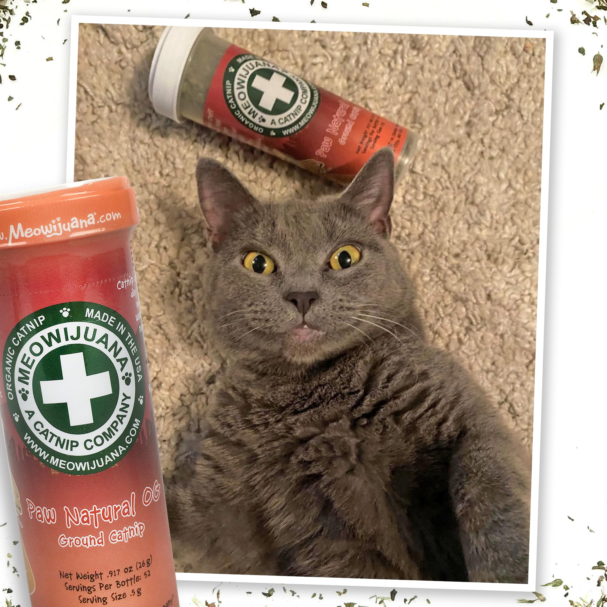 Meowijuana Purrple Passion helps indoor cats stay playful