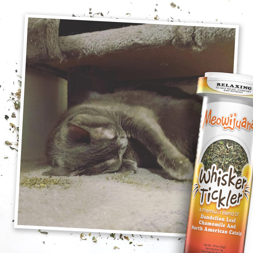 Meowijuana Purrple Passion for refillable toys enhances engagement