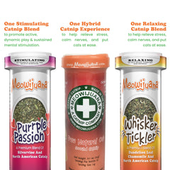 Meowijuana Purrple Passion with silvervine boosts curiosity and play