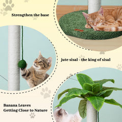 Meowoou cat scratching post includes interactive hanging ball for engagement.