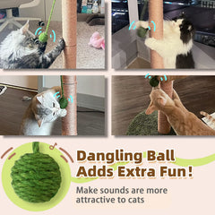 Meowoou cat scratching post assembly process with included tools.
