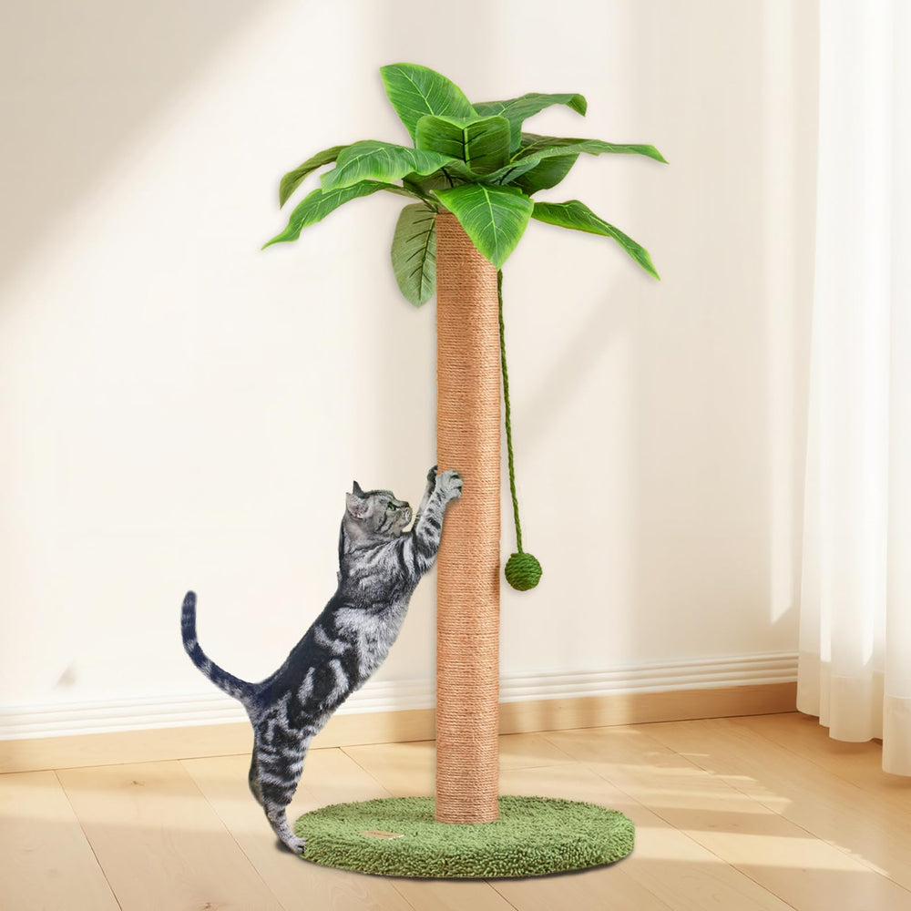 Meowoou cat tree cozy perches offering roomy lounging spaces.