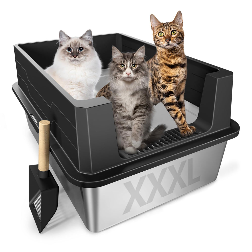 Meowra XXXL litter box top view shows spacious interior for large cats.