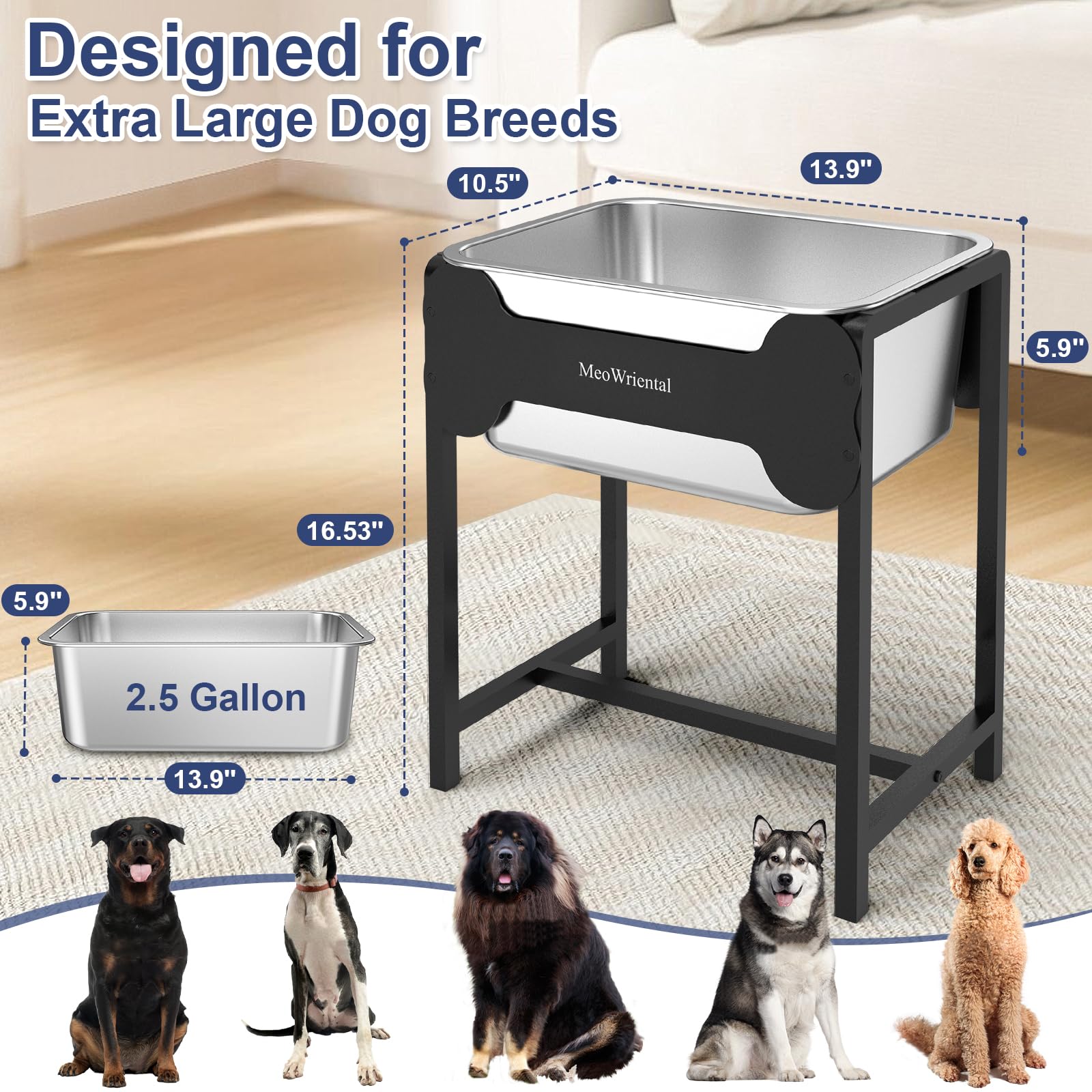 MeoWriental full metal stand shown indoors and outdoors resistant to weather exposure