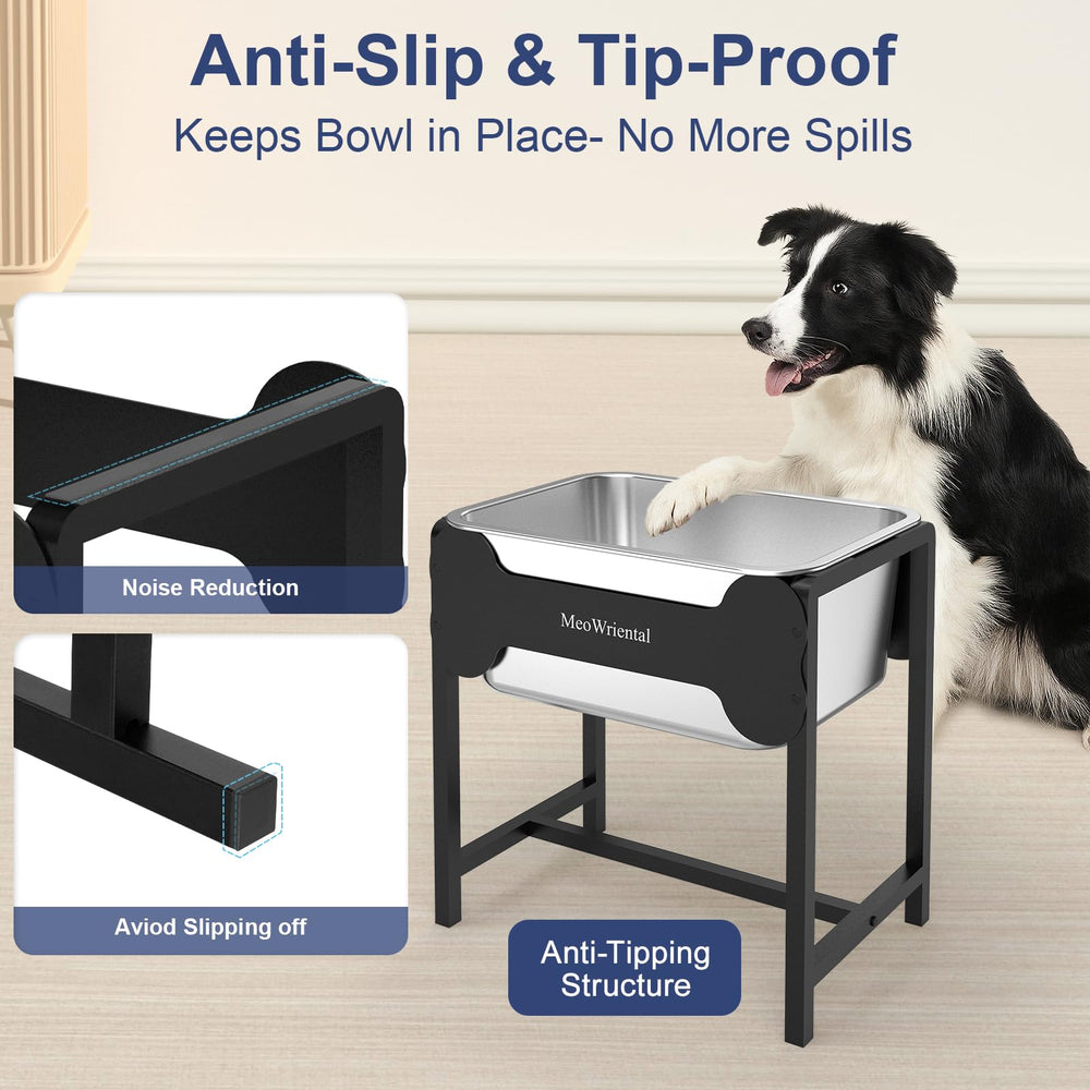 MeoWriental large-breed drinking posture demonstration promotes comfortable neck alignment