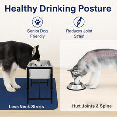 MeoWriental stainless steel bowl provides hygienic, rust resistant water source.