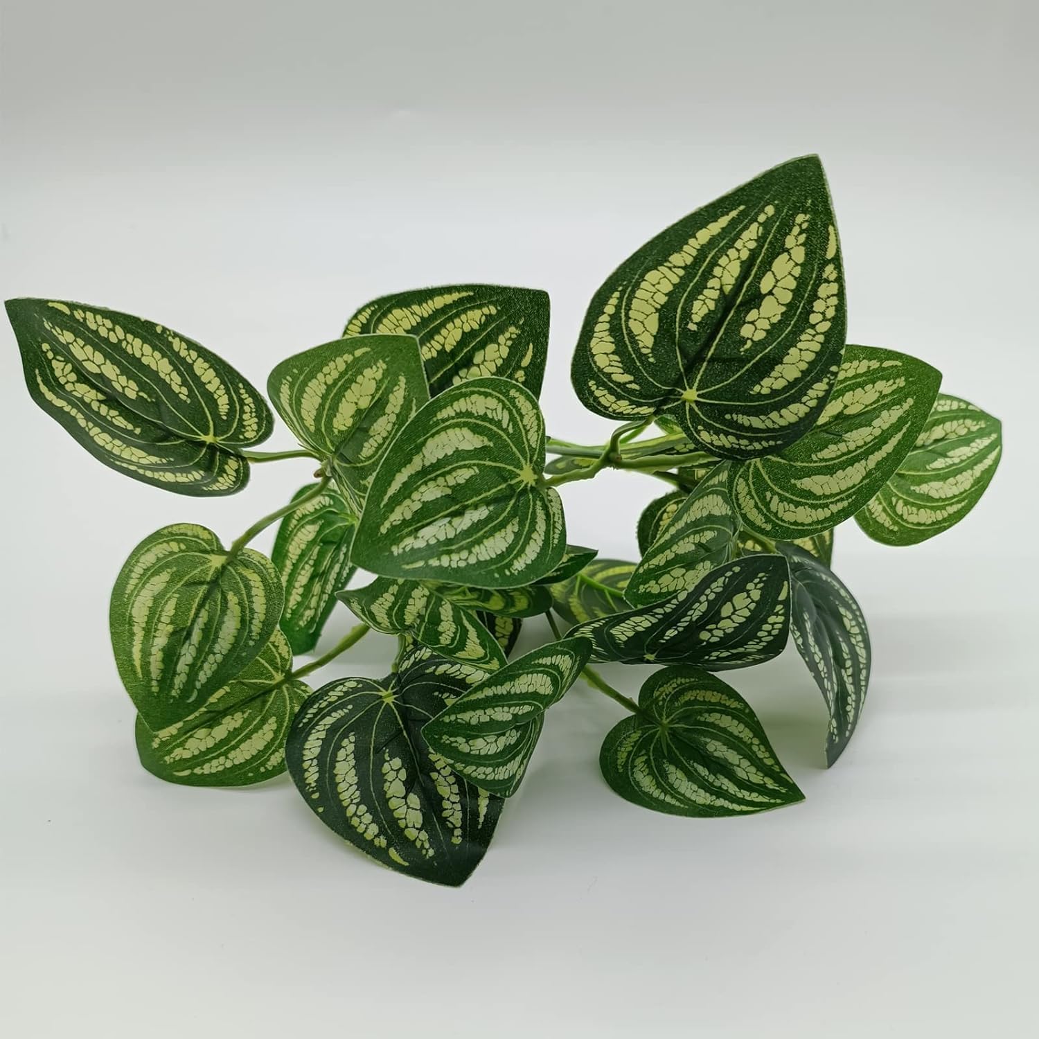 Mephan reptile plants habitat decor enhances visual richness and animal-friendly space.