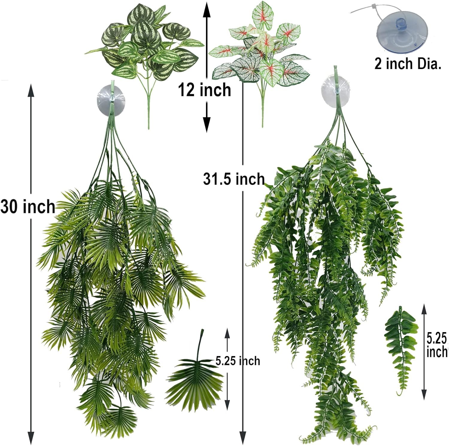 Mephan reptile plants mini ivy hanging brighten cages with natural look and climbing fun.