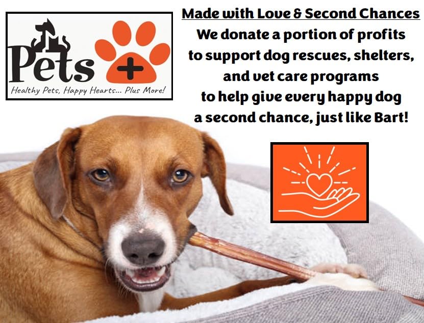 Pets Plus Premium Bart's Bully Sticks 6-inch dog mealtime image signals a satisfying training treat.