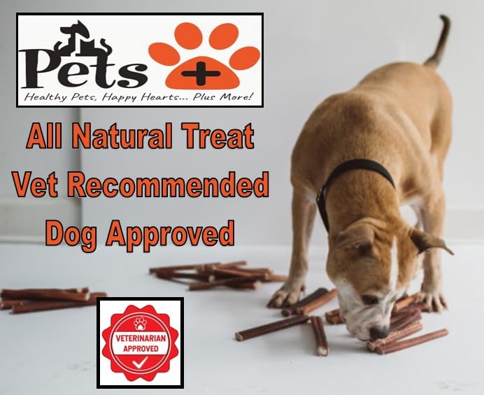 Pets Plus Premium Bart's Bully Sticks odor-free closeup emphasizes natural beef quality.