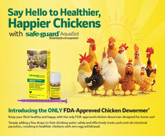 Merck Safe-Guard Aquasol bottle in use during poultry treatment for worms