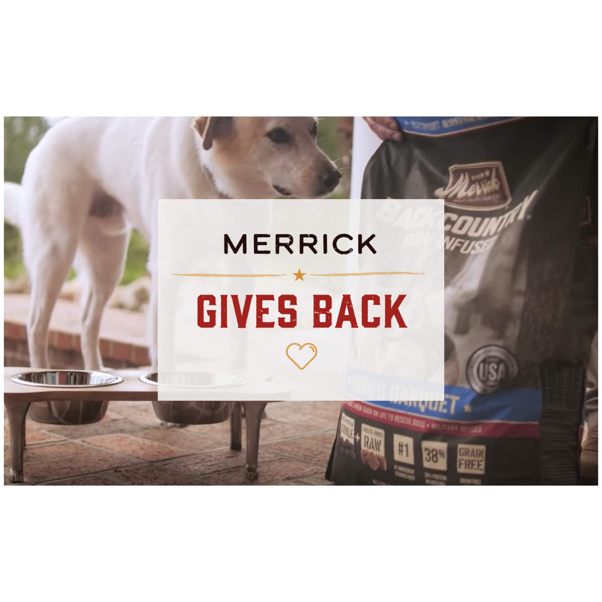 Merrick Backcountry 3oz pouch in bowl ready-to-serve cat meal.