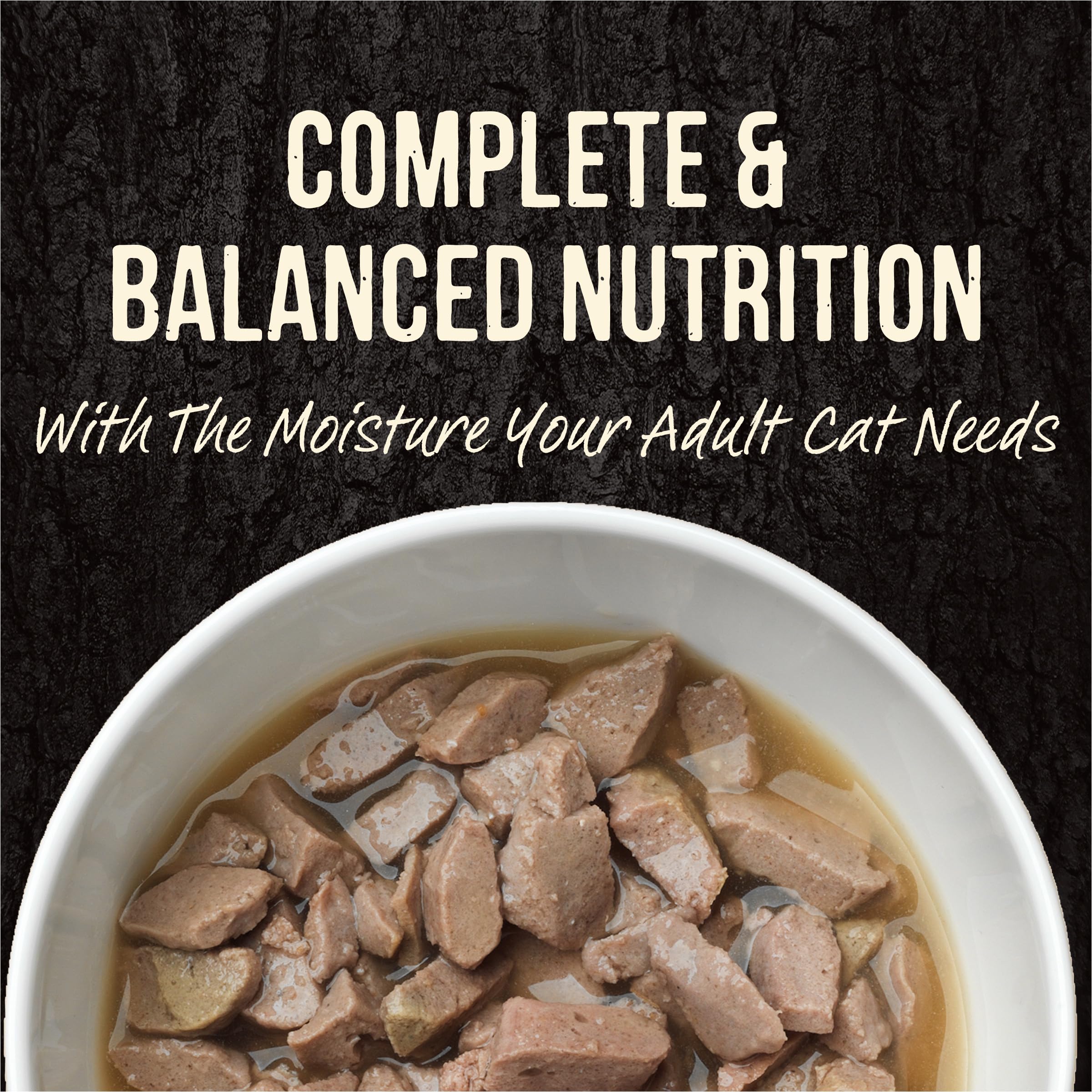 Merrick Backcountry chicken-trout-gravy pouch serving shot emphasizes protein-packed flavor.