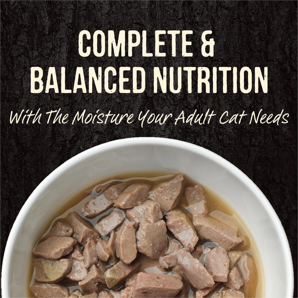 Merrick Backcountry chicken-trout-gravy pouch serving shot emphasizes protein-packed flavor.