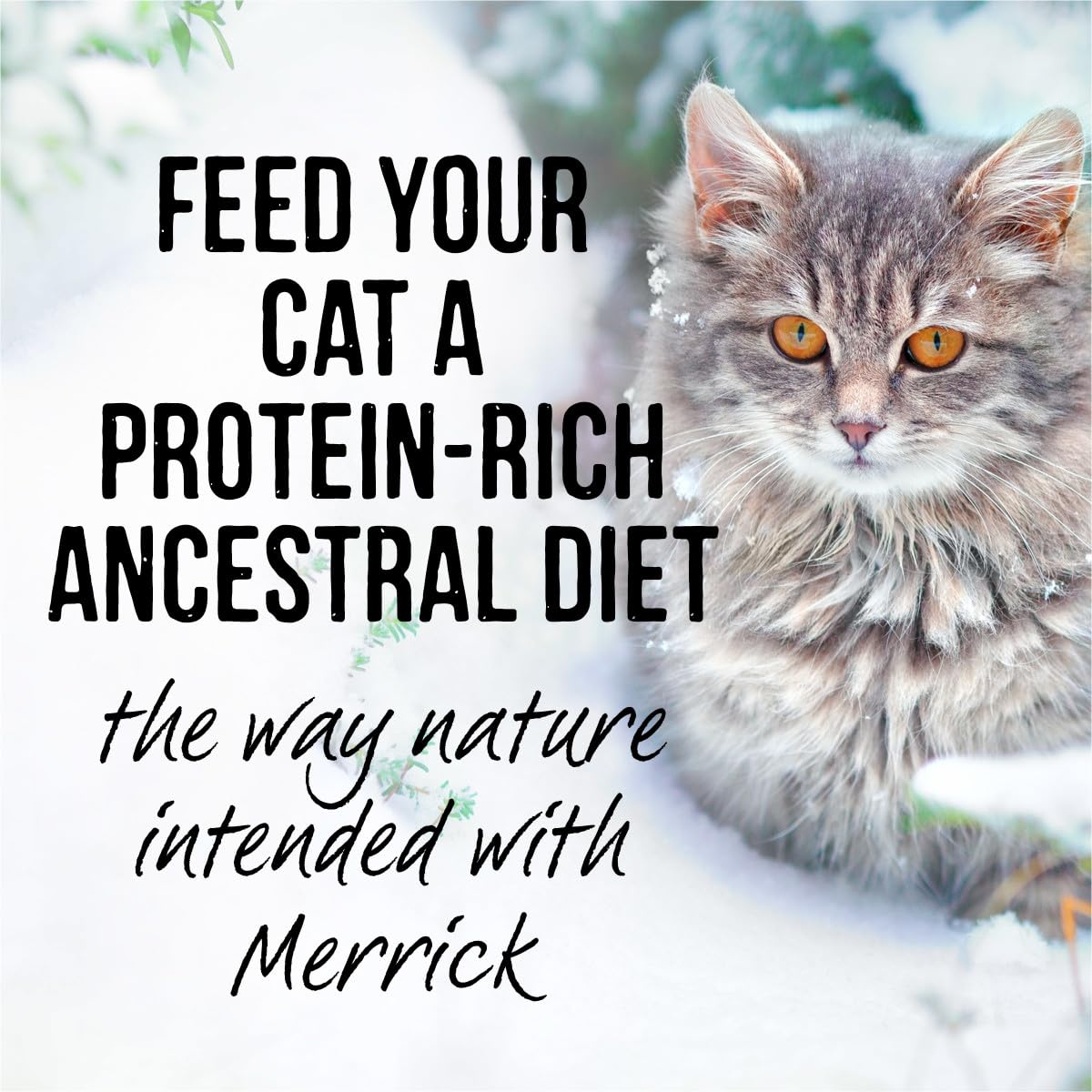Merrick Backcountry duck recipe pour demonstrates easy serving
