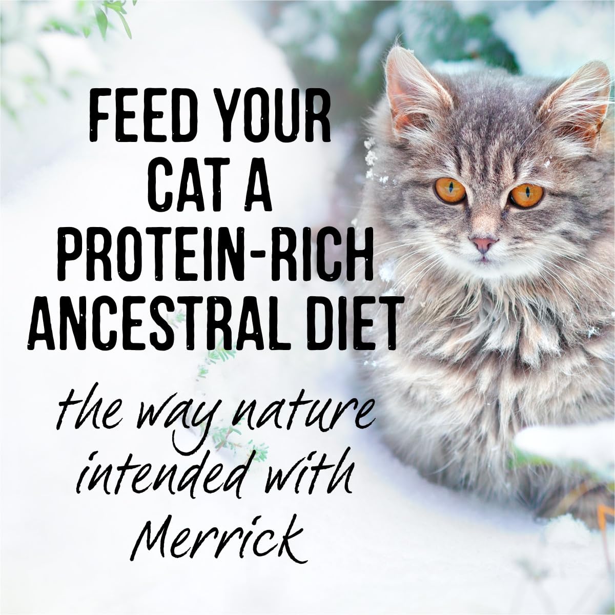 Label highlights grain-free ingredients in Merrick Backcountry without grains.