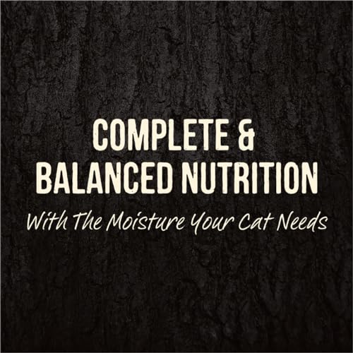 Merrick Backcountry wet cat food pouch on countertop showcasing ready-to-serve