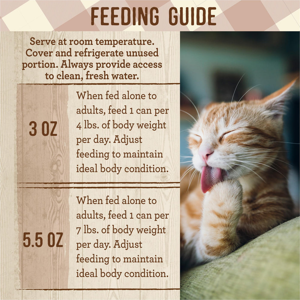 Merrick Purrfect Bistro indoor-outdoor-cat shot shows versatile feeding option.