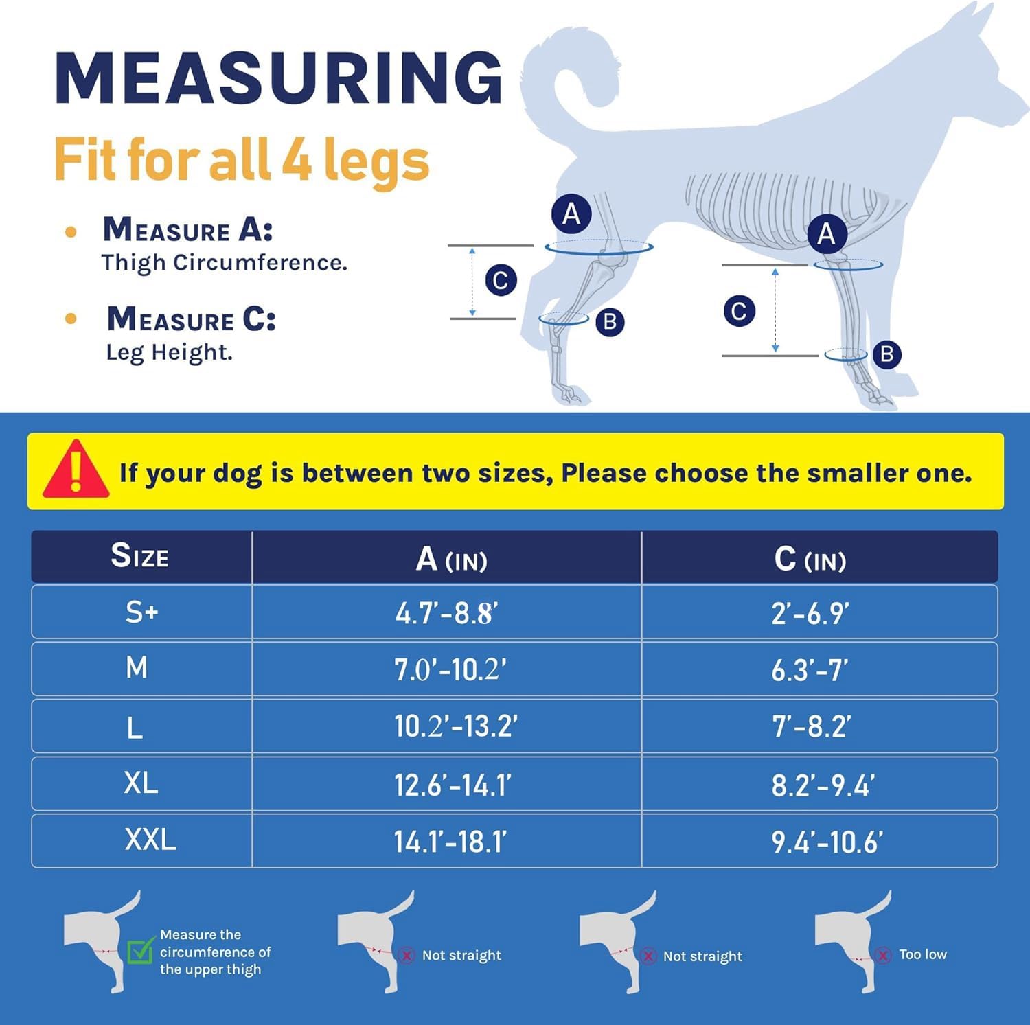 MerryMilo hind-leg brace in-use during a gentle walk highlights mobility support.