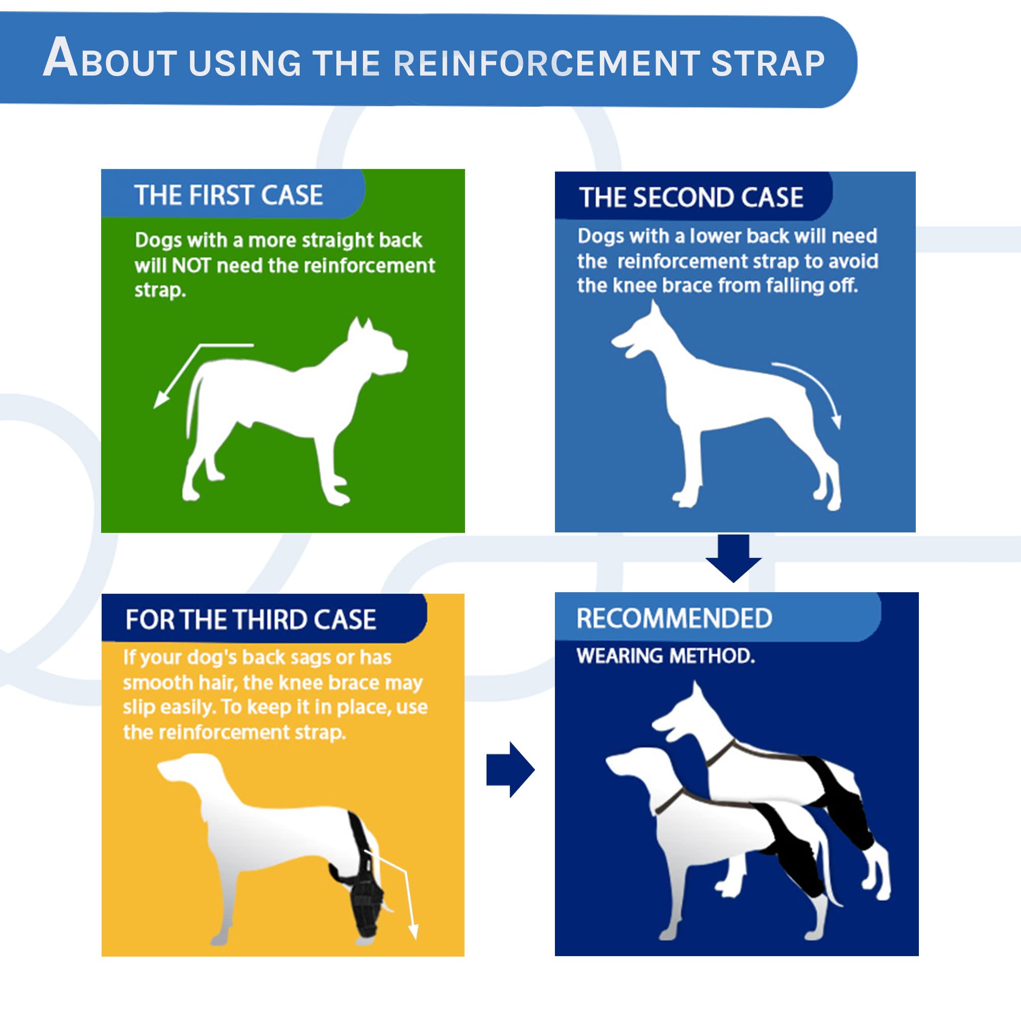 MerryMilo dog knee brace during walk illustrates improved mobility and confidence