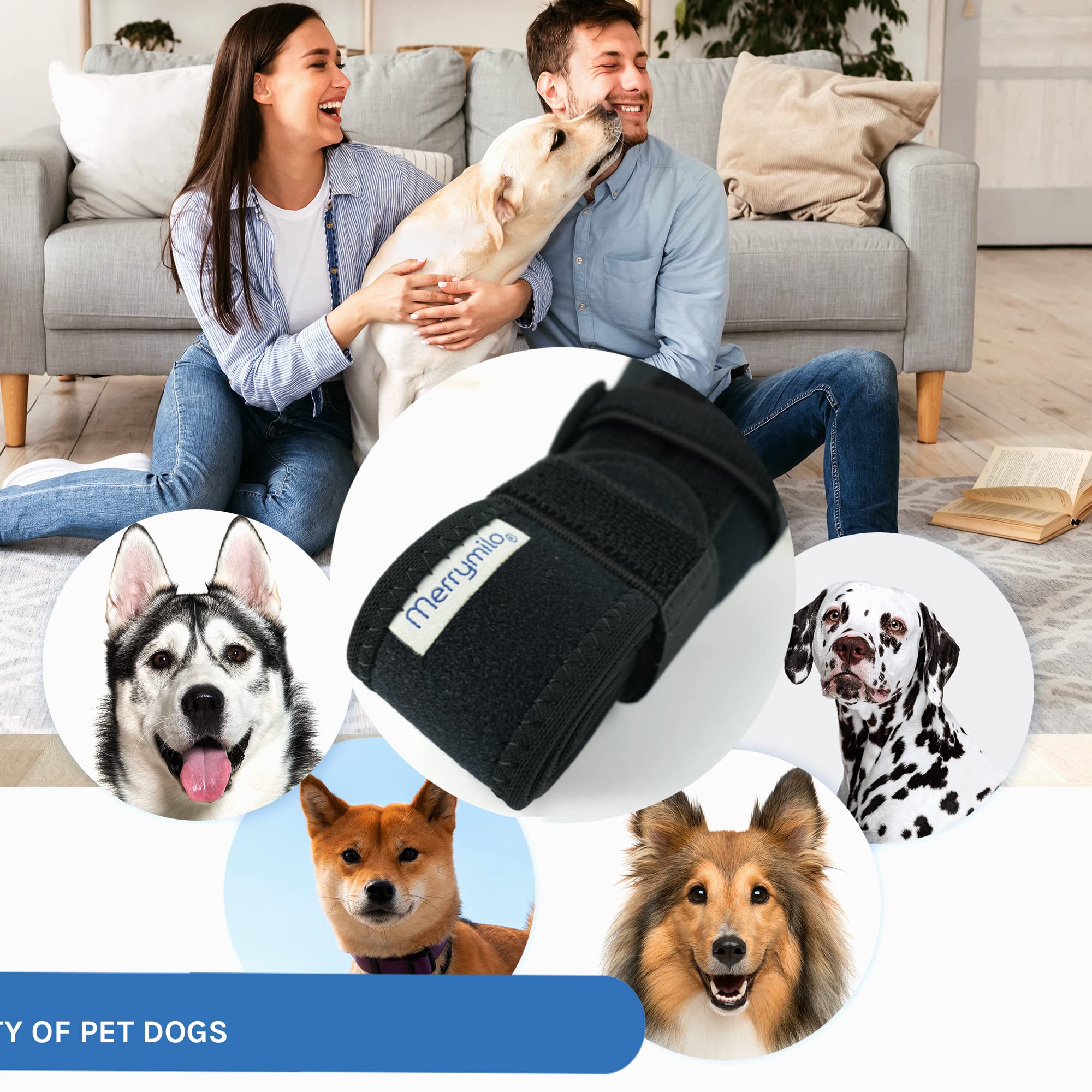 MerryMilo X-Large label confirms proper size selection for secure fit