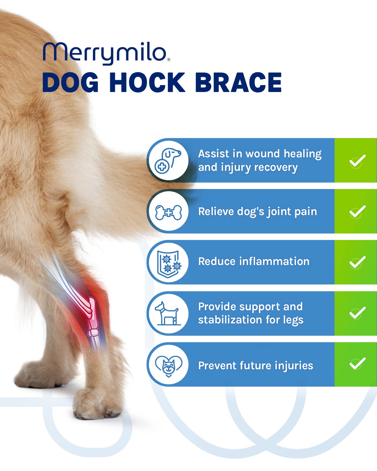 MerryMilo dog leg brace non-slip silicone ring keeps brace securely in place