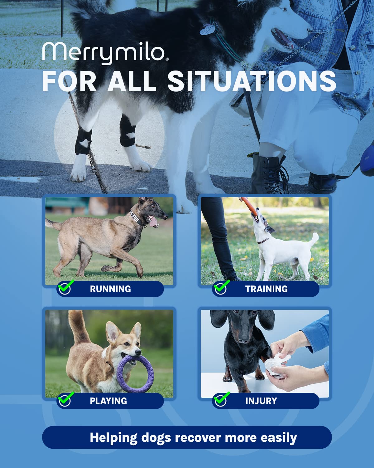 MerryMilo dog leg brace pair-pack ready for two hind legs