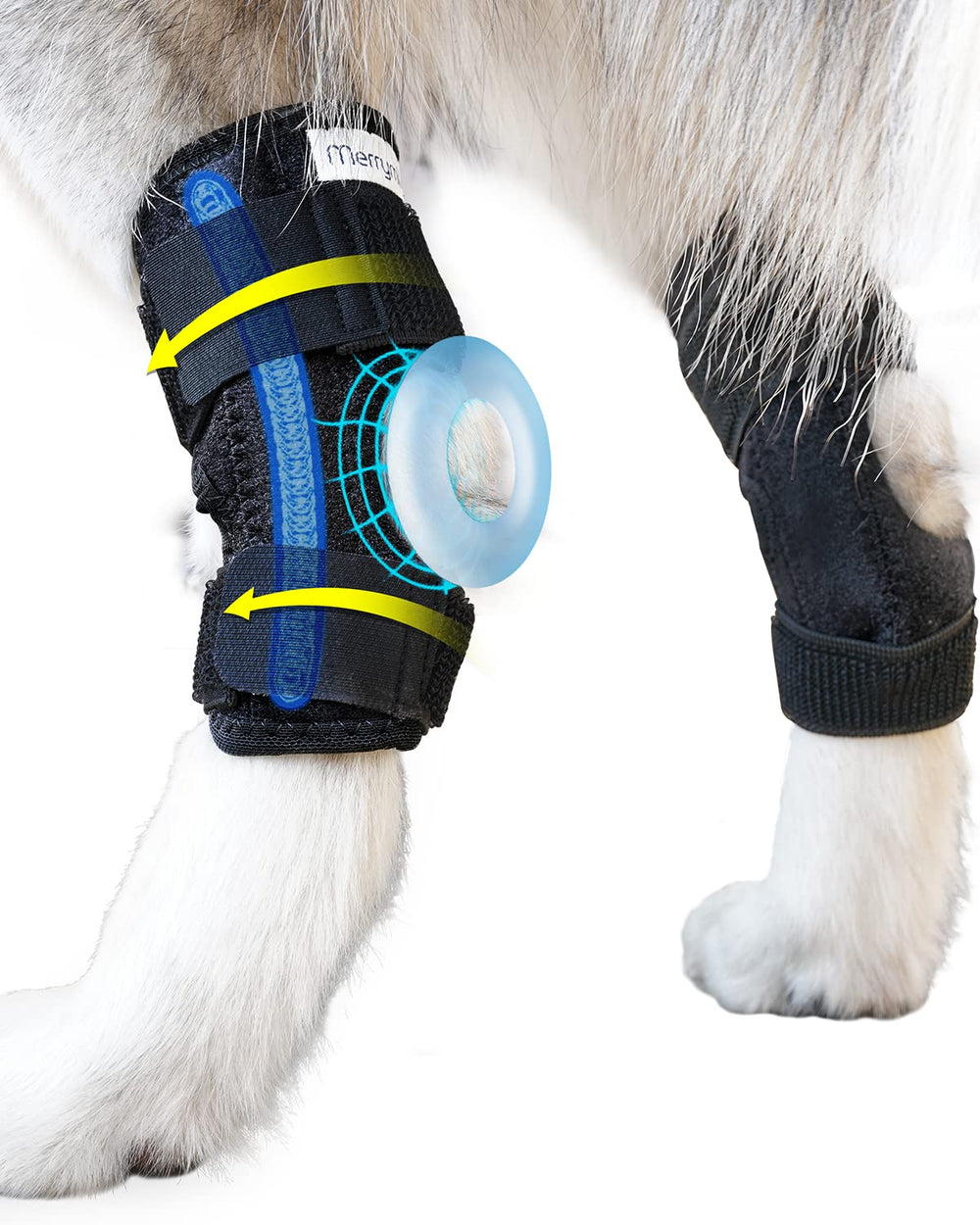 MerryMilo dog leg brace rear-hock view offering steady support on outdoor walks