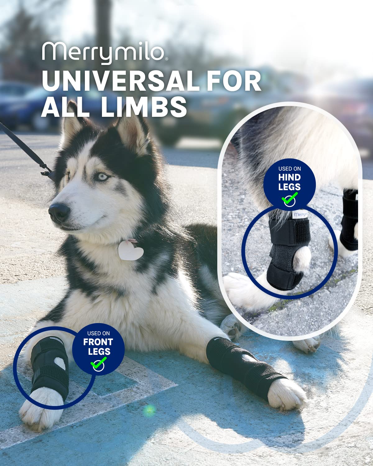 MerryMilo dog leg brace side-view showing secure fit and coverage