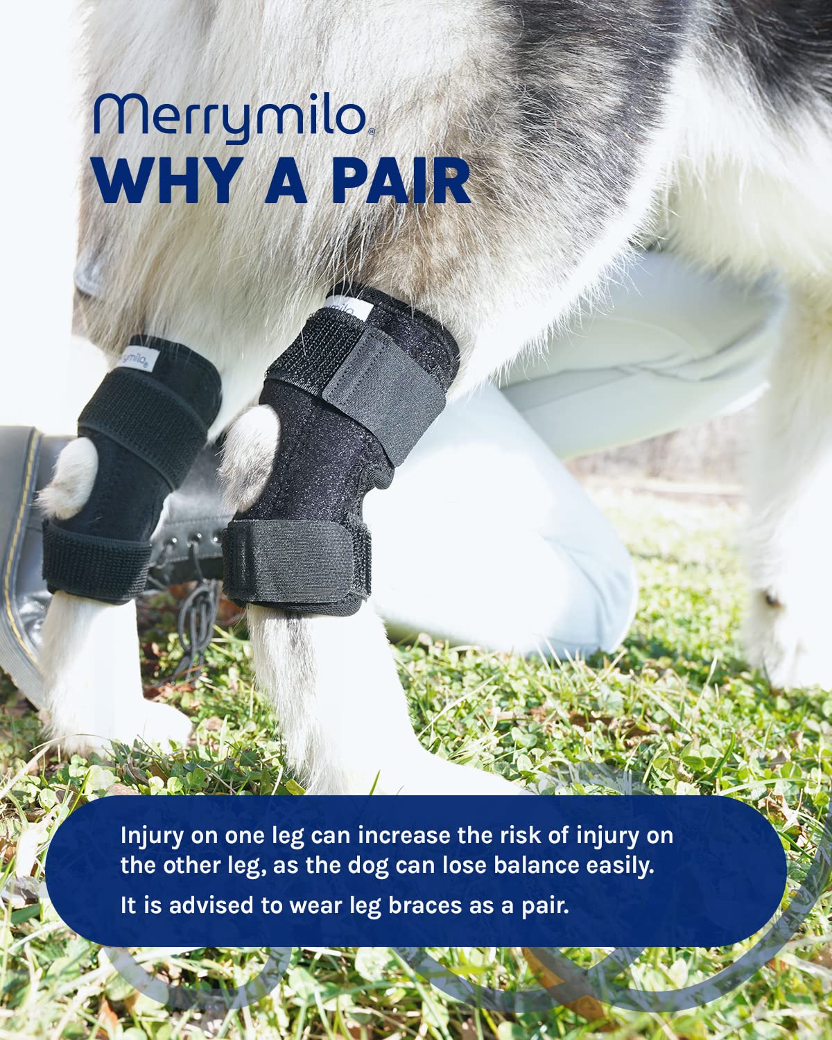 MerryMilo dog leg brace soft durable fabric designed for daily wear