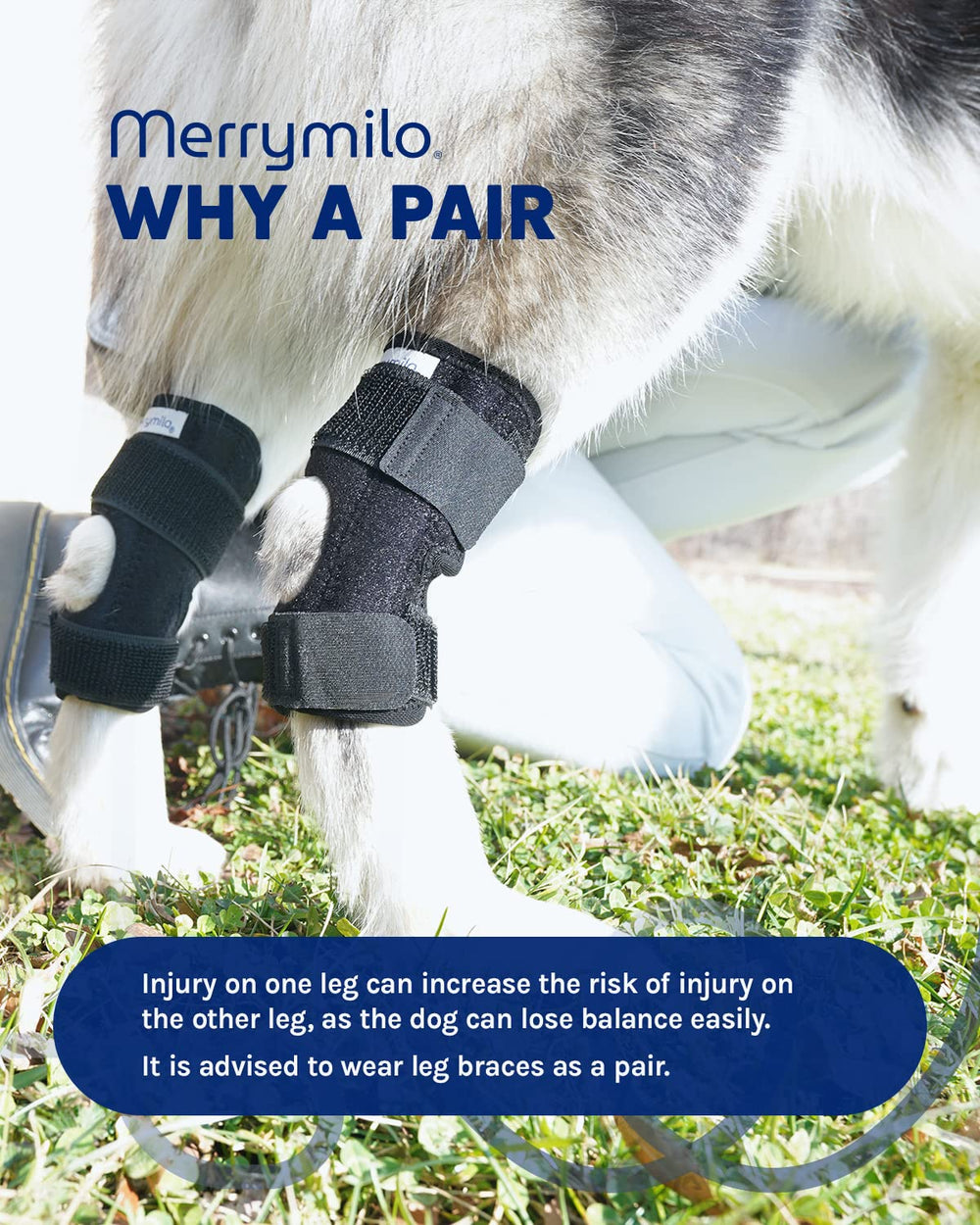 MerryMilo dog leg brace soft durable fabric designed for daily wear