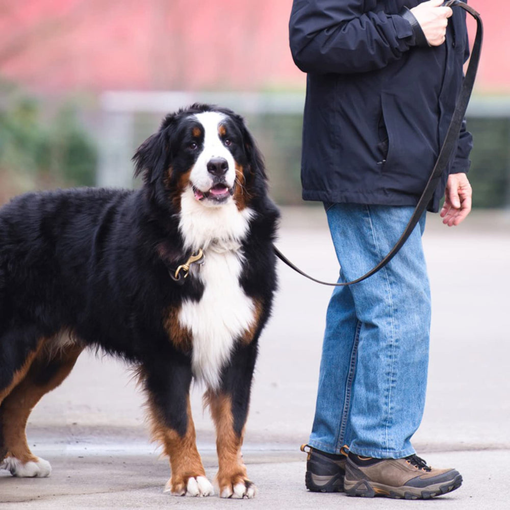 Meruogkar brown leather leash withstands strong pulls during outdoor walks.