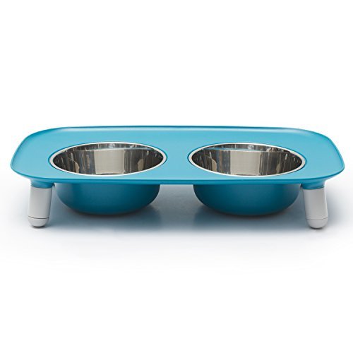 Messy Mutts raised lip design helps contain spills during feeding.
