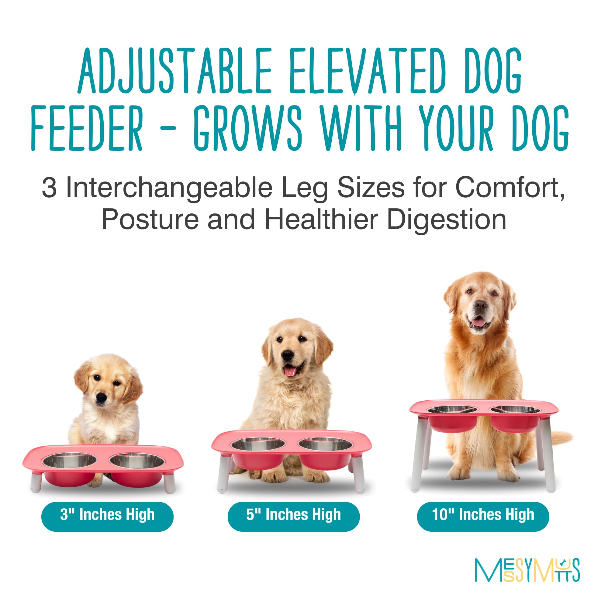 Messy Mutts elevated double feeder at 5-inch height fits mid-size dogs for neck-friendly dining