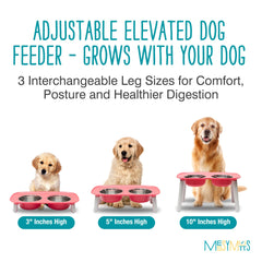Messy Mutts elevated double feeder at 5-inch height fits mid-size dogs for neck-friendly dining