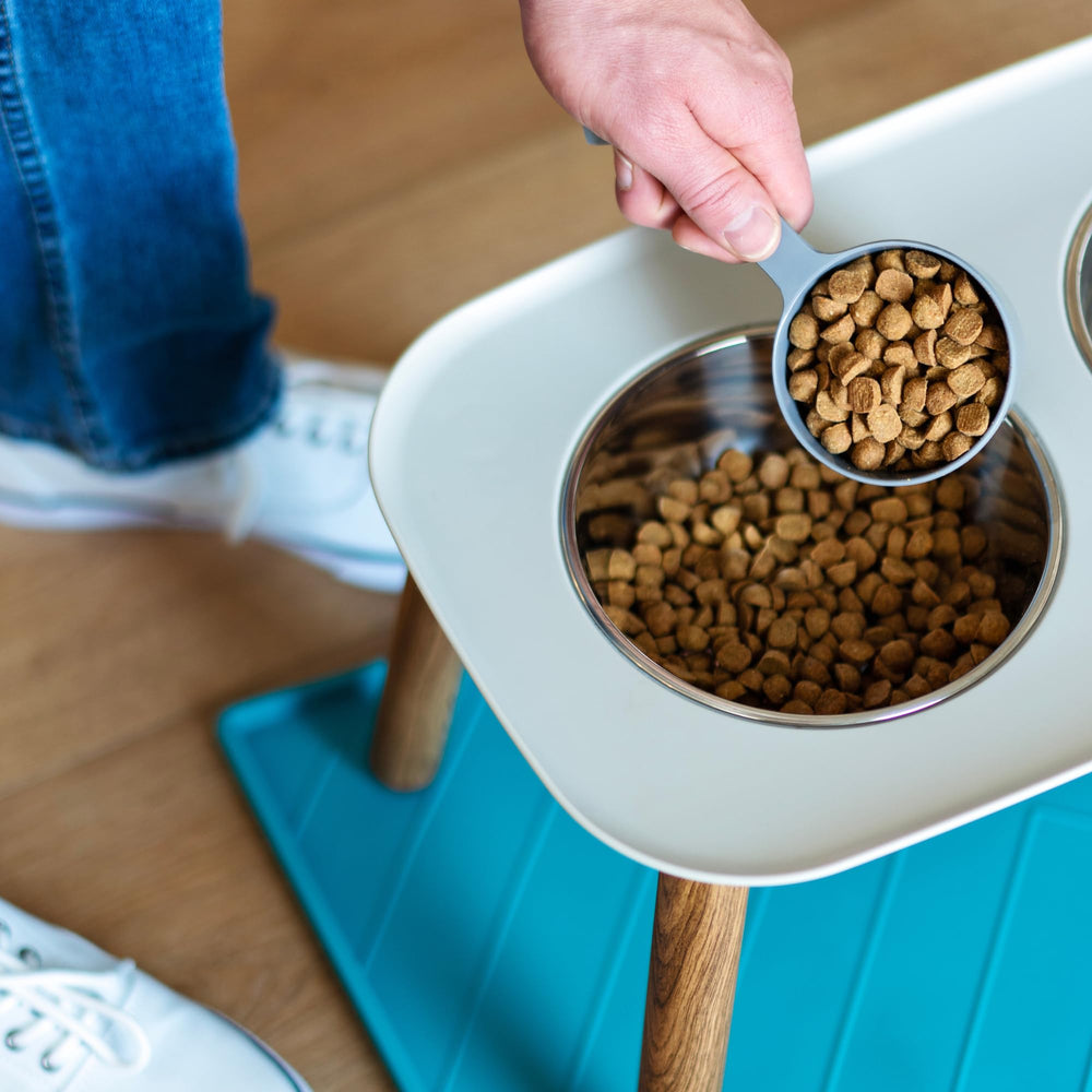 Messy Mutts dishwasher-safe bowls simplify post-meal cleanup.