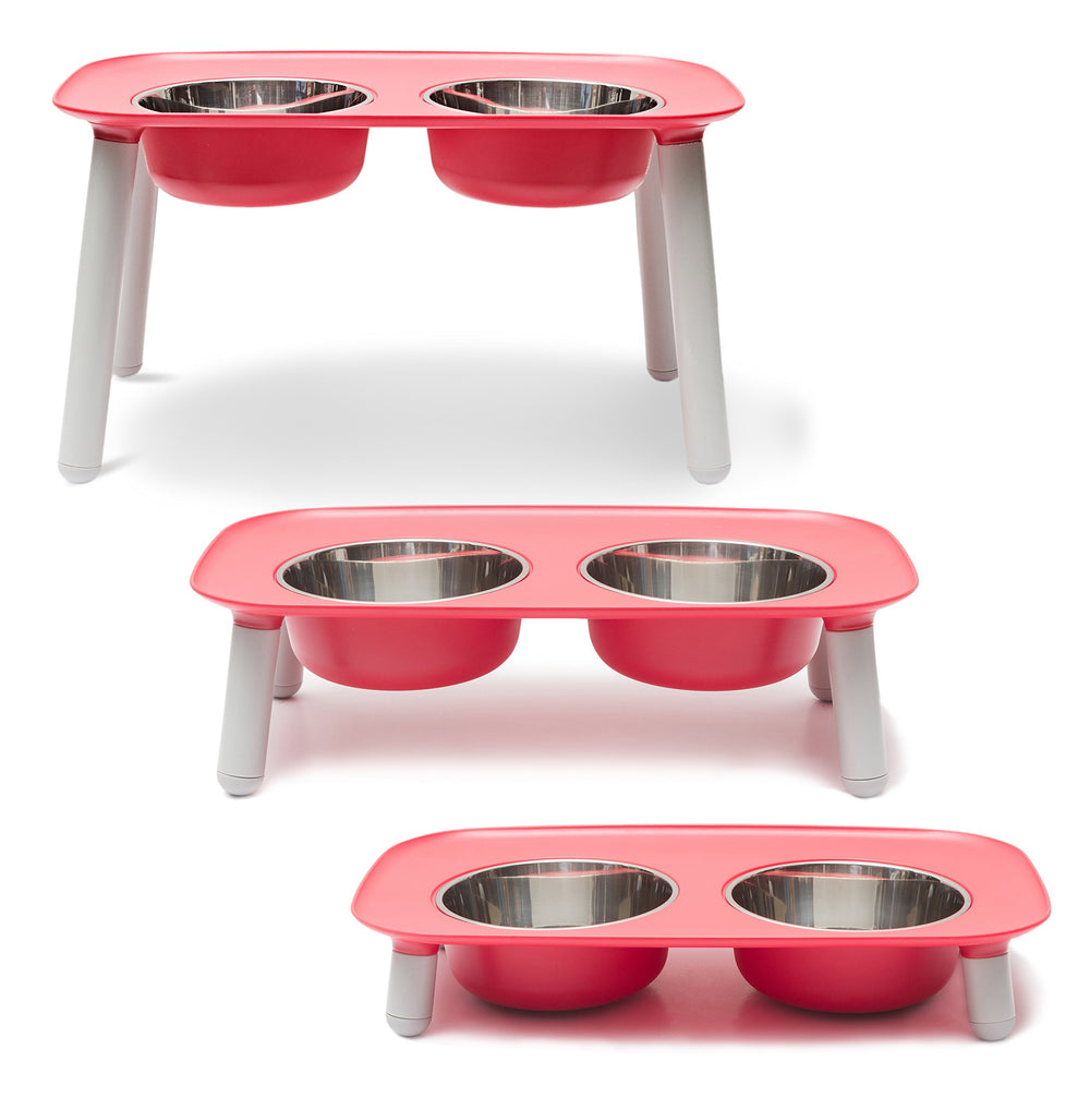 Messy Mutts elevated double feeder with watermelon bowls for easy reach during meals