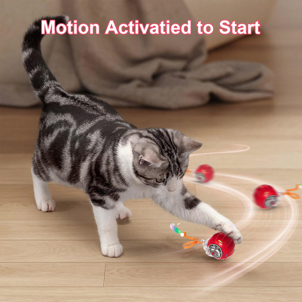 metiya elastic tail accessory enhances chase by mimicking agile mouse movement