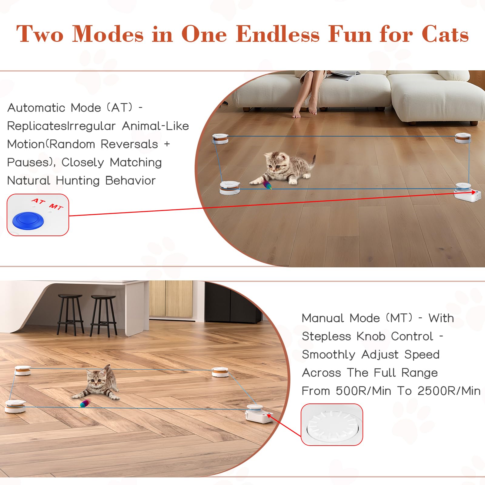 Metiya obstacle-circle play expands challenge for agile cats.