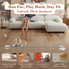 Metiya cat treadmill auto-manual modes for versatile feline exercise.