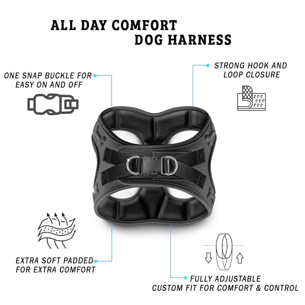 Metric USA All-Weather Dog Harness with soft padding supports year-round adventures.