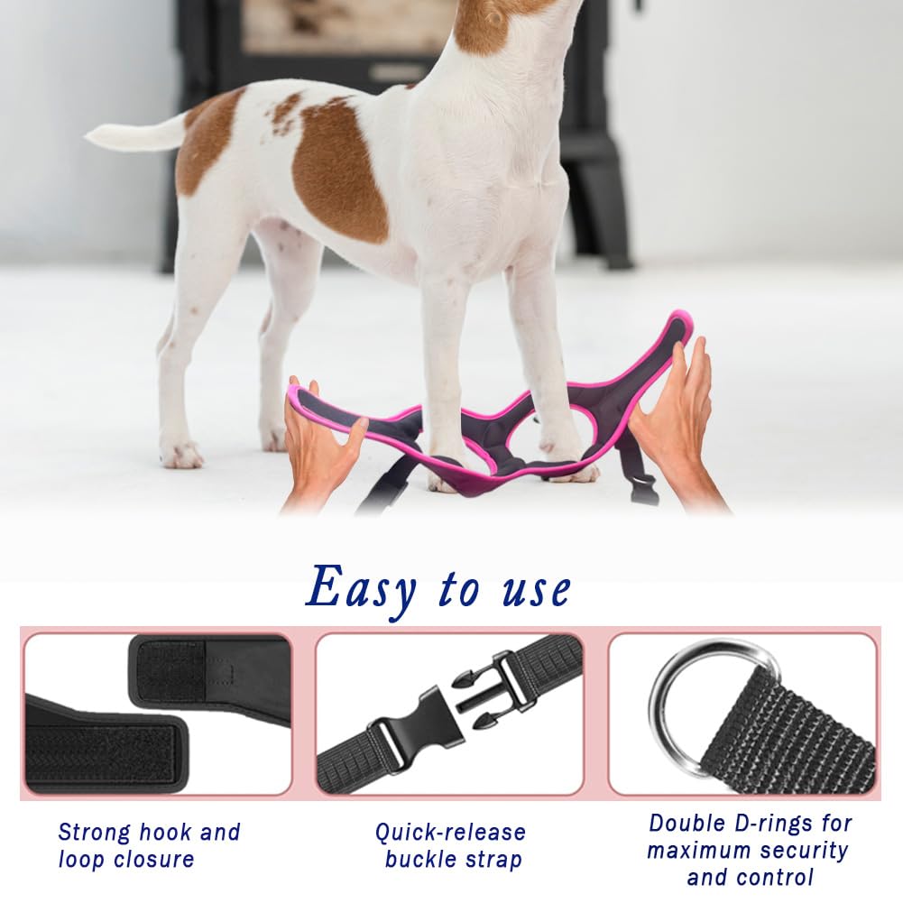 Metric USA Chest-Friendly Step-In Design distributes pressure for comfortable training walks.