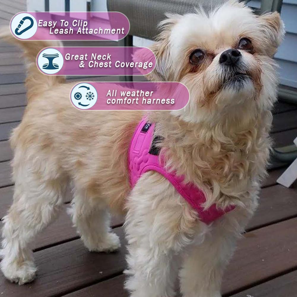Metric USA harness buckle closeup highlights durable stay-in-place fastener for outdoor walks.