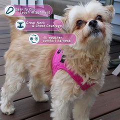 Metric USA harness buckle closeup highlights durable stay-in-place fastener for outdoor walks.