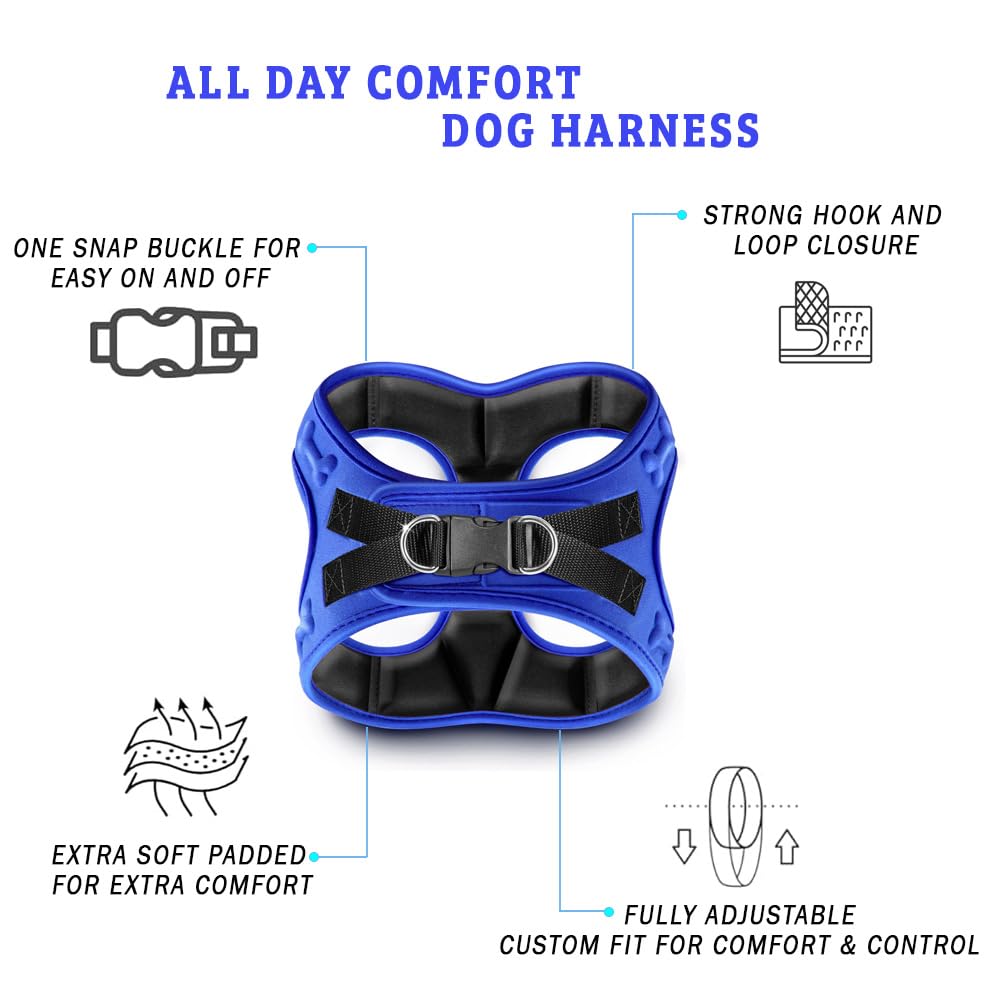 Metric USA Comfort Fit back clip leash view enables casual strolls with rear attachment.