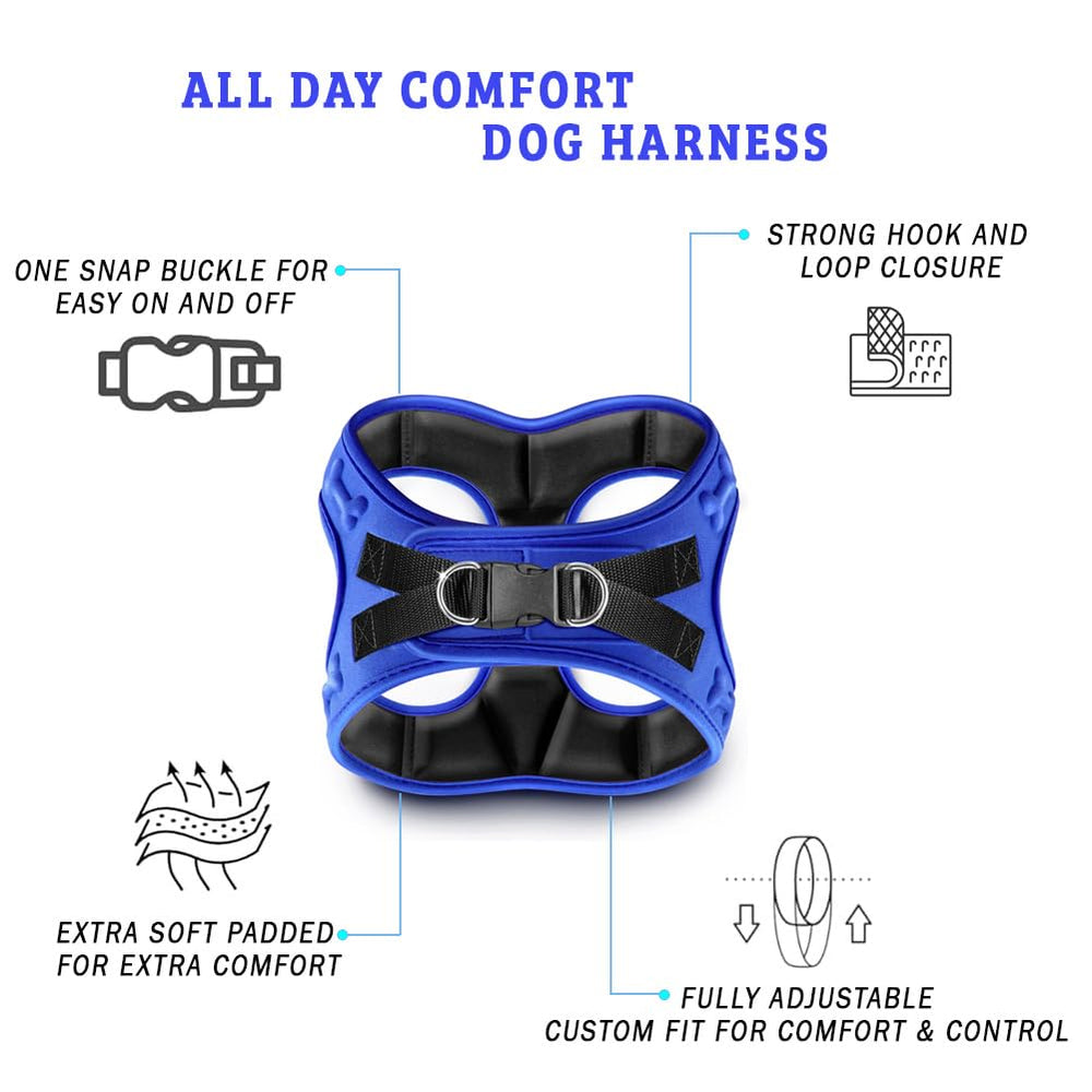 Metric USA harness features front and back leash rings for versatile control