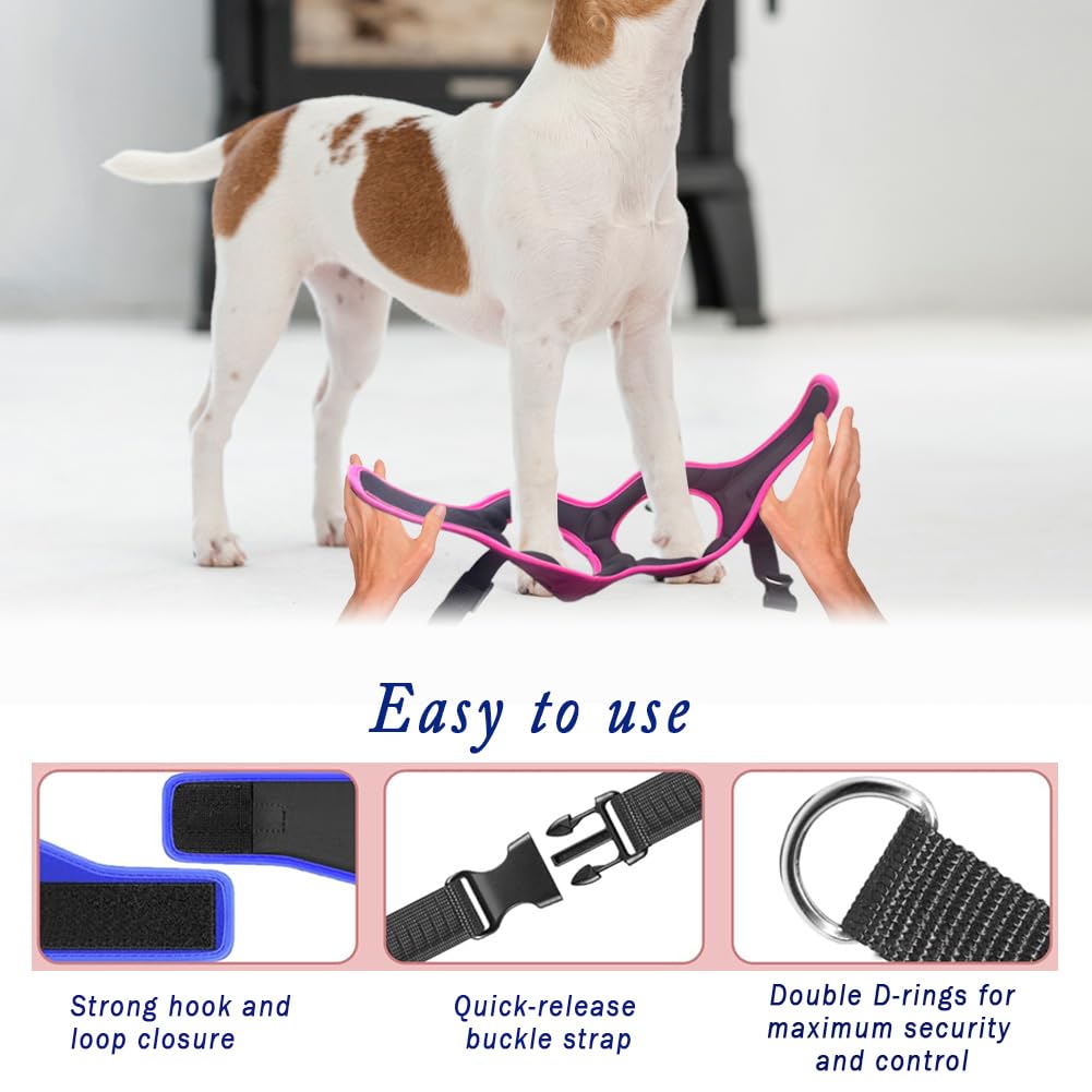 Metric USA Comfort Fit handle closeup for secure control during vet visits.