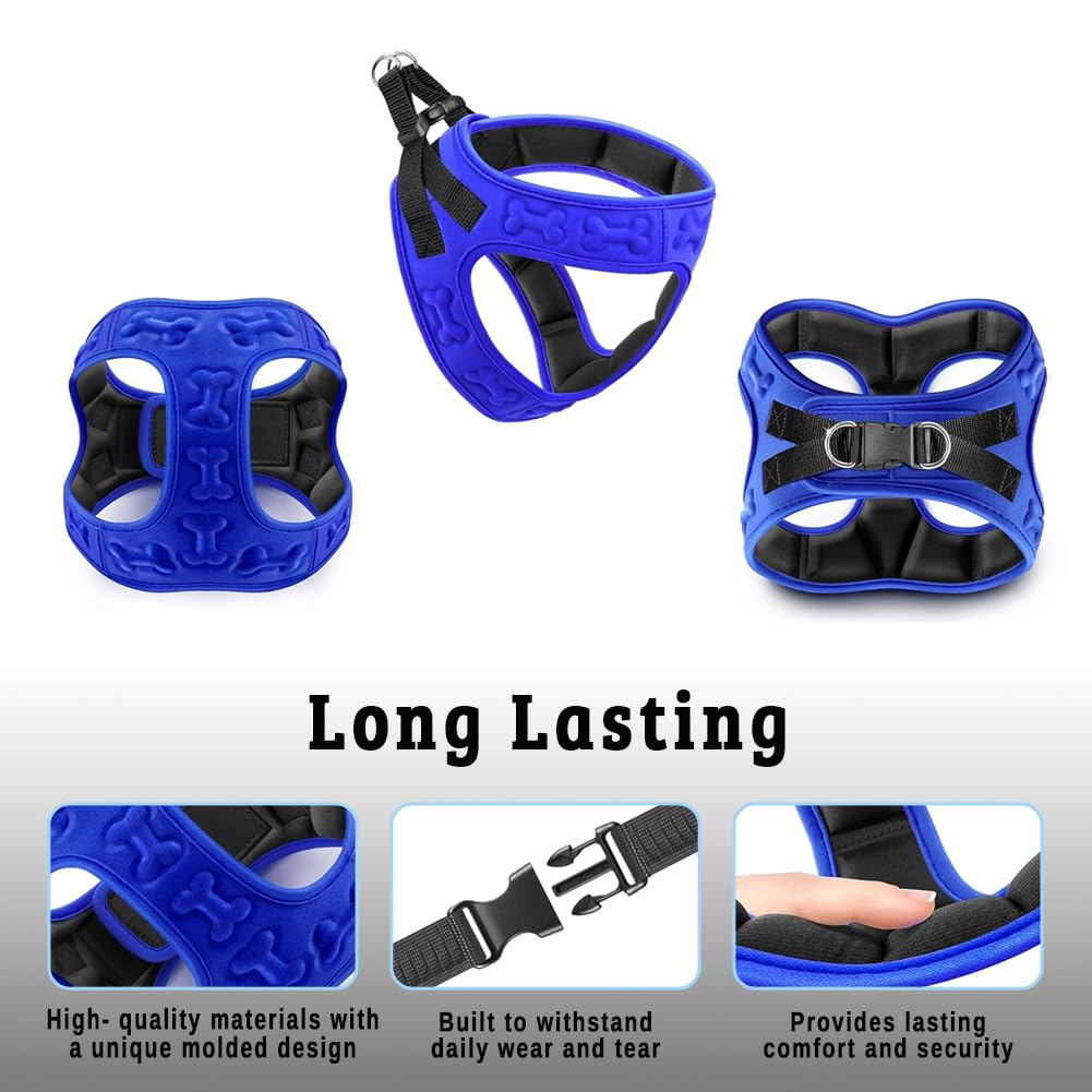 Metric USA size chart guide helps pick the right fit