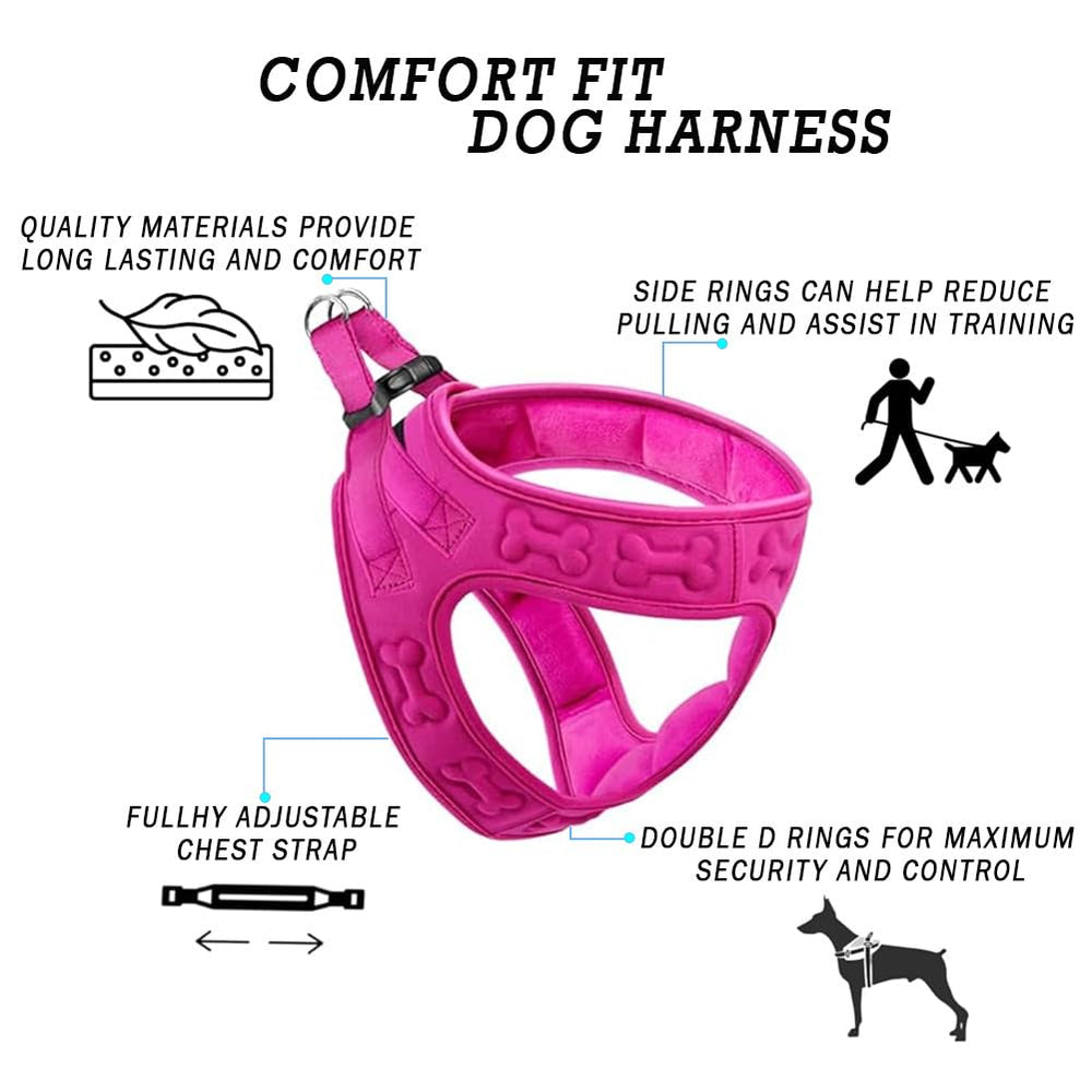 Metric USA Comfort Fit secure buckle keeps harness in place during outdoor walks.